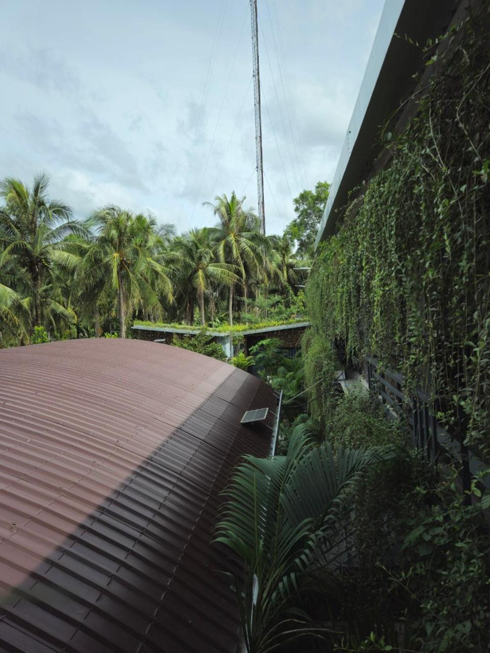 Homestay Bao Binh ベンチェ エクステリア 写真