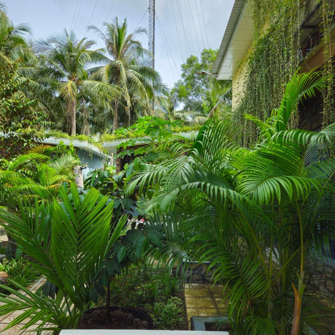 Homestay Bao Binh ベンチェ エクステリア 写真